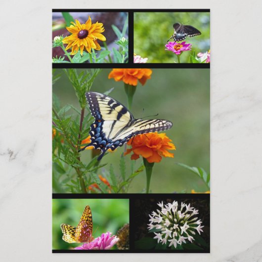 Spring Beauty Briefpapier (Vorderseite)