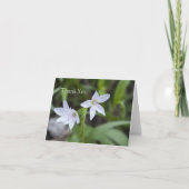 Spring Beauty Dankeskarte (Vorderseite)