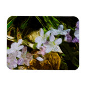 Spring Beauty eine Lila Wildblume Abstrakt Magnet (Horizontal)