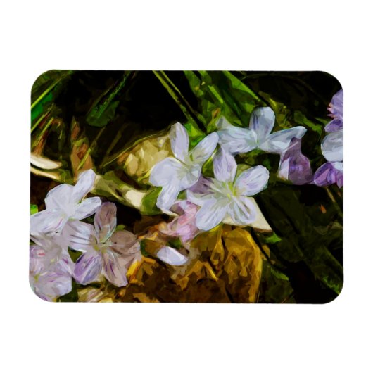 Spring Beauty eine Lila Wildblume Abstrakt Magnet (Horizontal)
