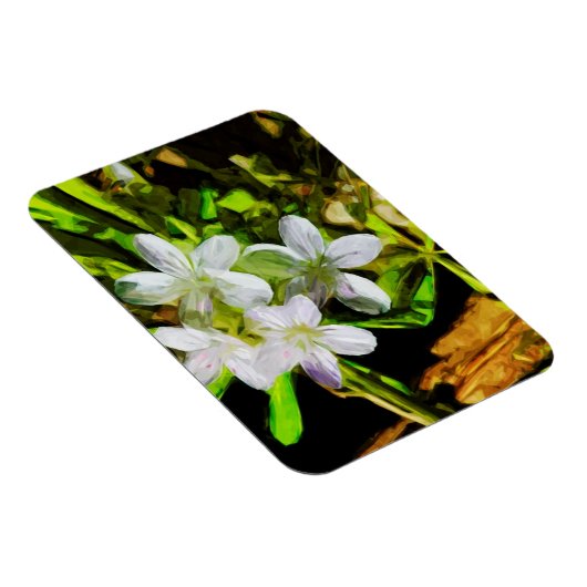 Spring Beauty eine Lila Wildblume Abstrakt Magnet (Rechte Seite)