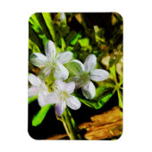 Spring Beauty eine Lila Wildblume Abstrakt Magnet (Vertikal)