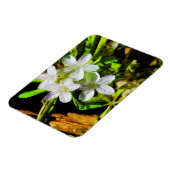 Spring Beauty eine Lila Wildblume Abstrakt Magnet (Linke Seite)