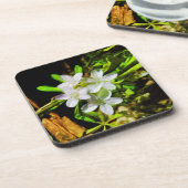 Spring Beauty eine Lila Wildblume Abstrakt Untersetzer (Linke Seite)