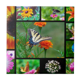 Spring Beauty Fliese