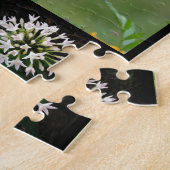 Spring Beauty Puzzle (Seite)