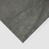 Spring Beauty (von Raimundo de Madrazo y Garreta) Seidenpapier (Ausschnitt)