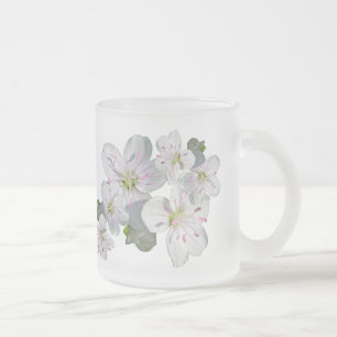 Spring Beauty Wildblume Mattglastasse