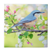 Spring Bird - Beautiful Fliese (Vorderseite)