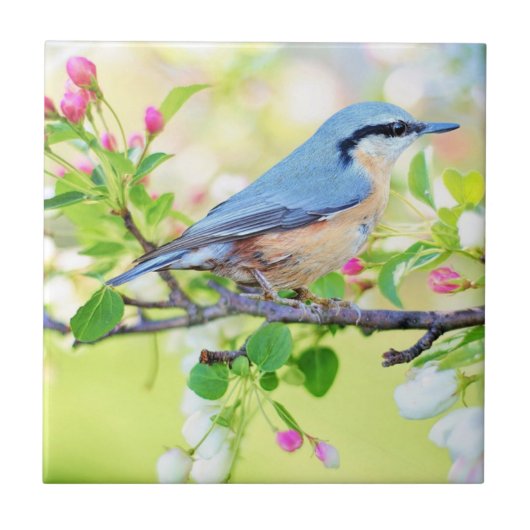 Spring Bird - Beautiful Fliese (Vorderseite)