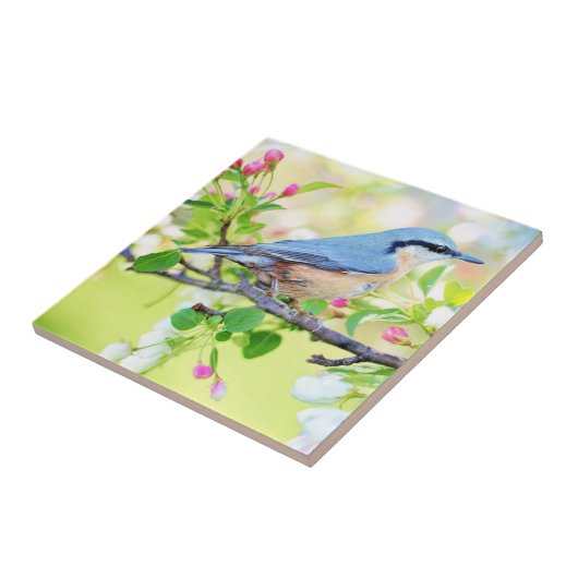Spring Bird - Beautiful Fliese (Seite)