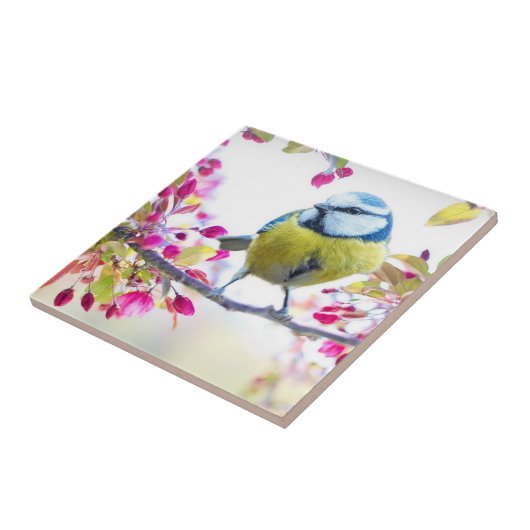 Spring Bird Fliese (Seite)