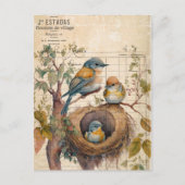 Spring Birds Vintage Ephemera Postkarte (Vorderseite)