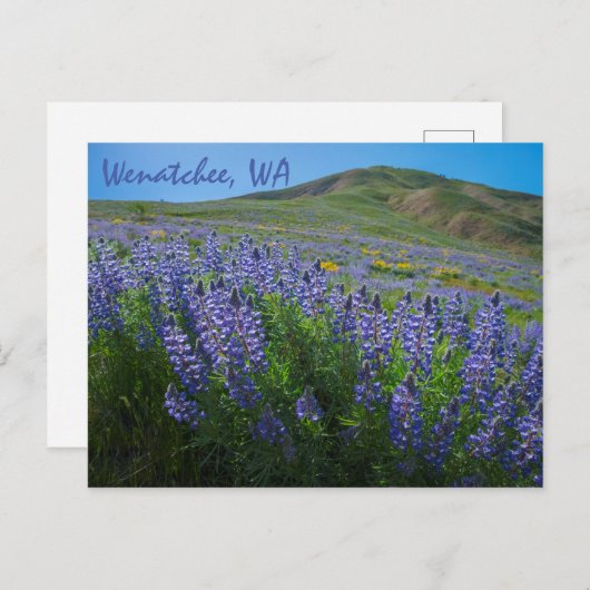 Spring Bloom in Sage Hills Wenatchee, Washington Postkarte (Vorne/Hinten)