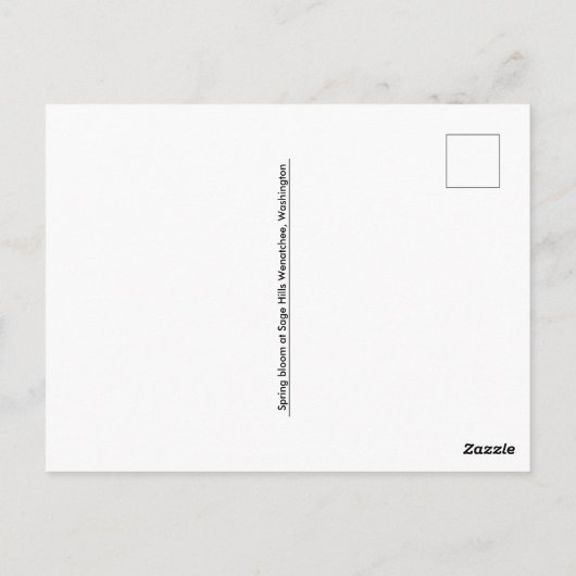 Spring Bloom in Sage Hills Wenatchee, Washington Postkarte (Rückseite)