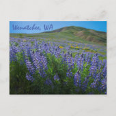 Spring Bloom in Sage Hills Wenatchee, Washington Postkarte (Vorderseite)