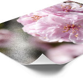 Spring Blossom Fotodruck (Ecke)