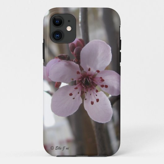 Spring Blossom iPhone 5 Fall Case-Mate iPhone Hülle (Rückseite)