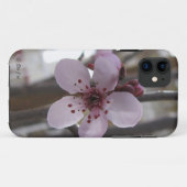 Spring Blossom iPhone 5 Fall Case-Mate iPhone Hülle (Rückseite (Horizontal))