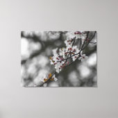Spring Blossom Leinwanddruck (Vorderseite)
