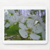 Spring Blossom Mousepad (Vorne)
