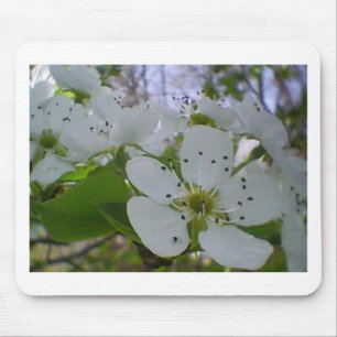 Spring Blossom Mousepad