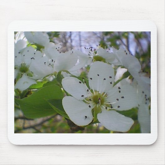 Spring Blossom Mousepad (Vorne)