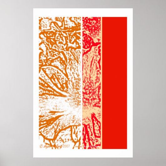 Spring Blossom Poster (Vorne)