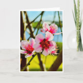 Spring Blossoms Blank Card Einladung (Vorderseite)