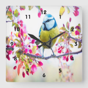 Spring Blue Bird Quadratische Wanduhr