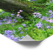 Spring Bluebell Forest Print Poster (Ecke)