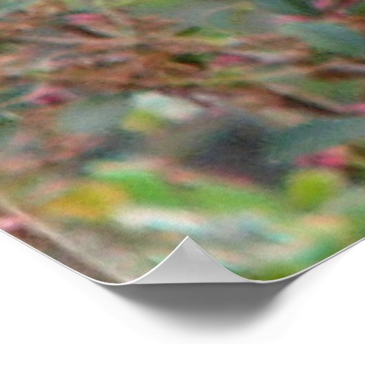 Spring Bluebird Poster (Ecke)