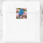 Spring Bluebird Quadratischer Aufkleber (Tasche)