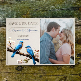 Spring Bluebirds Foto Save the Date Ankündigung