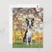 Spring - Boston Terrier #1 Postkarte (Vorne/Hinten)