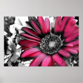 Spring Bouquet in Black & White Poster (Vorne)