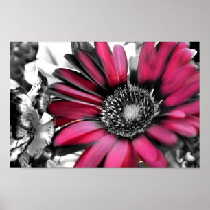 Spring Bouquet in Black & White Poster