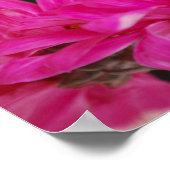 Spring Bouquet Poster (Ecke)