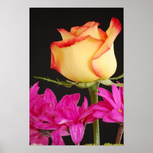 Spring Bouquet Poster (Vorne)