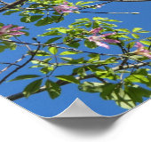 Spring, branch of a blossoming tree poster (Ecke)