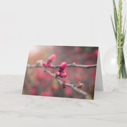 Spring Buds Forth Karte (Vorderseite)