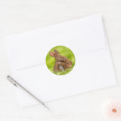 Spring Bunny Lovers Runder Aufkleber (Umschlag)