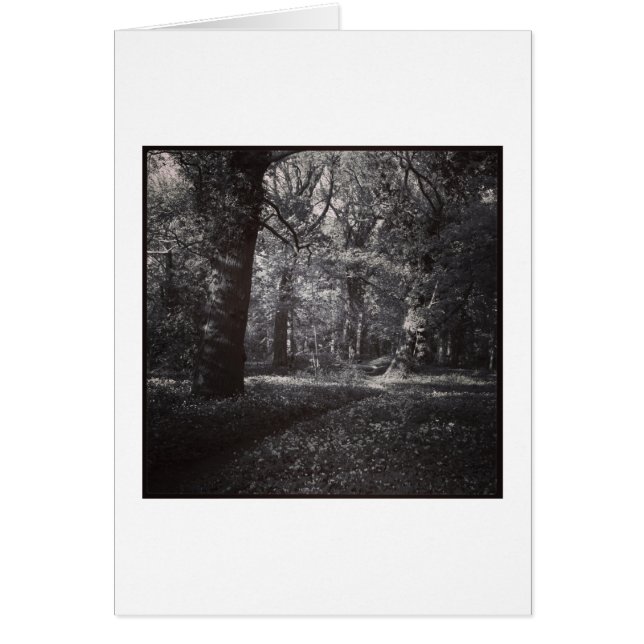 Spring Bute Park, Cardiff, Wales (Vorne)