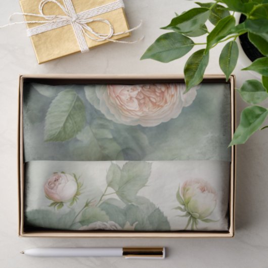 Spring Cabbage Rose Seidenpapier (Geschenk)