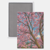 Spring Canopy - Blossom Tree & Blue Sky Malerei Magnet (Vorderseite/Rückseite)