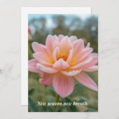 Spring Card Feiertagskarte (Vorne/Hinten)