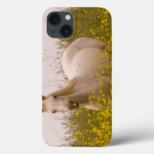 Spring Case-Mate iPhone Hülle (Rückseite)