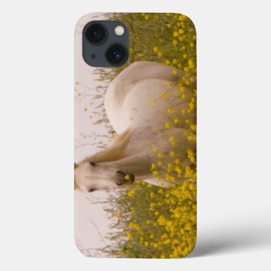 Spring Case-Mate iPhone Hülle (Rückseite)