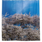 Spring Cherry Blossom Duschvorhang (Vorderseite)