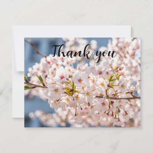 Spring Cherry Blossom Floral Sakura Danke (Vorderseite)